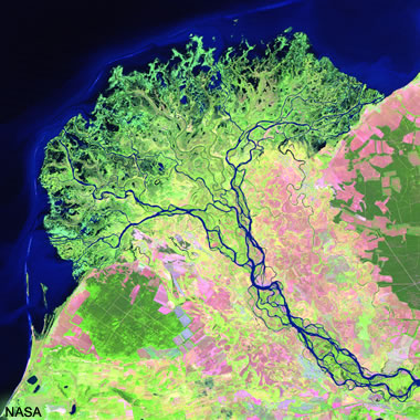 Selenga River Delta satellite image